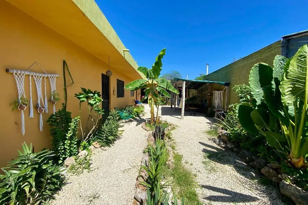 Jungla Bacalar/ Casa Guacamayo 5Ta. Av. Mexico