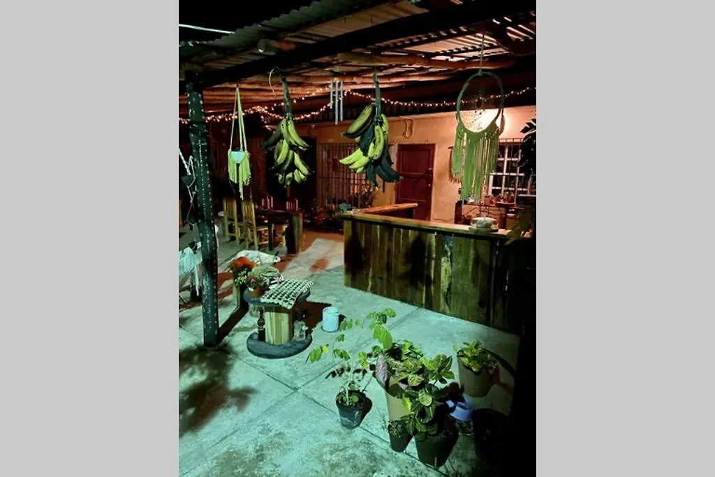 Jungla Bacalar/ Casa Guacamayo 5Ta. Av. Apartment Bacalar