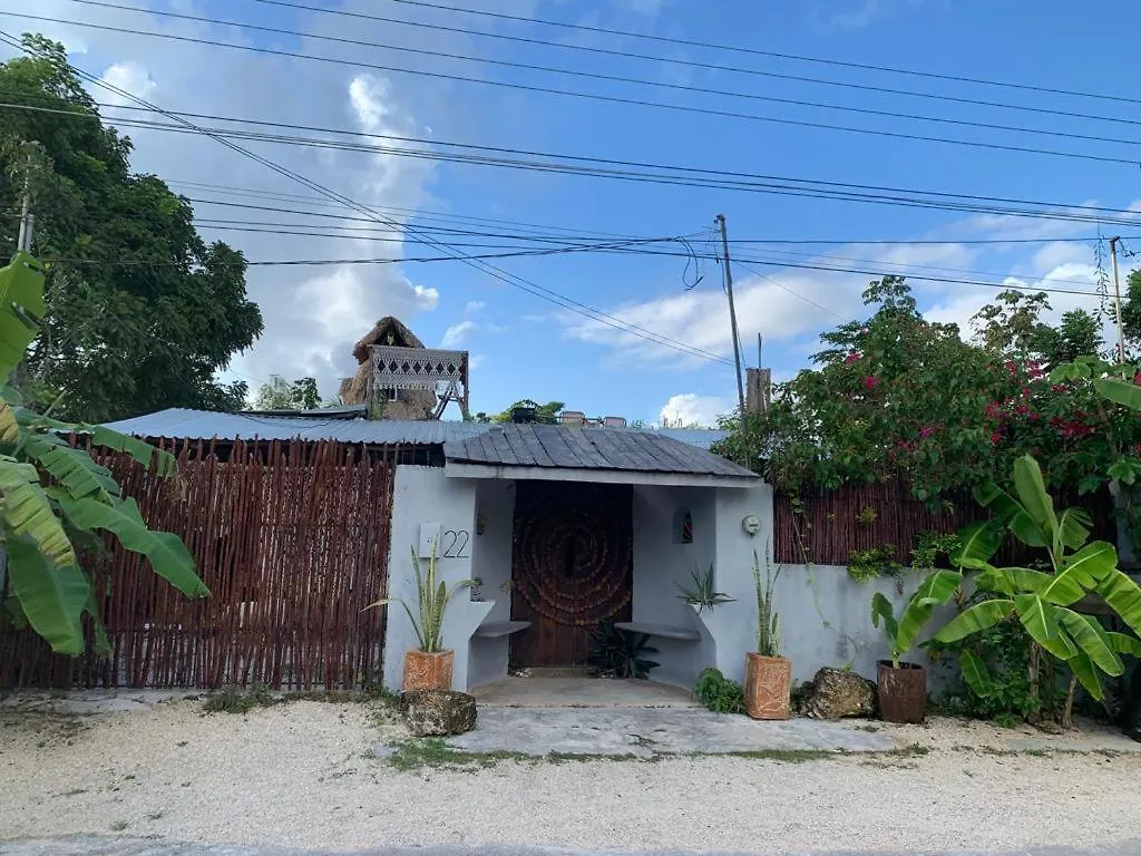 Jungla Bacalar/ Casa Guacamayo 5Ta. Av. Mexico