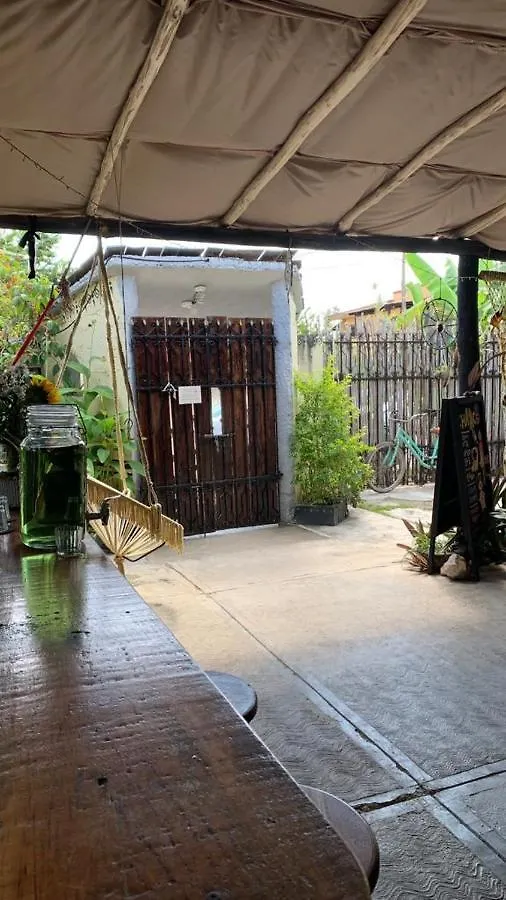 Jungla Bacalar/ Casa Guacamayo 5Ta. Av. Mexico