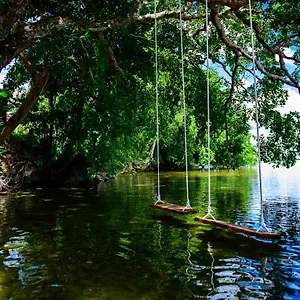 San Fernando Bacalar, Piña Colada Bacalar